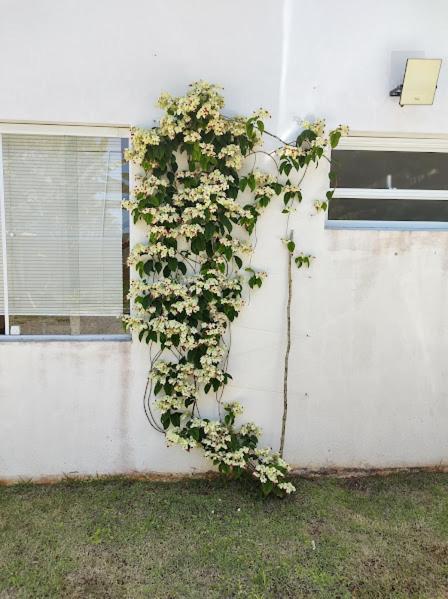 Pousada Recanto das Margaridas Boicucanga Bagian luar foto